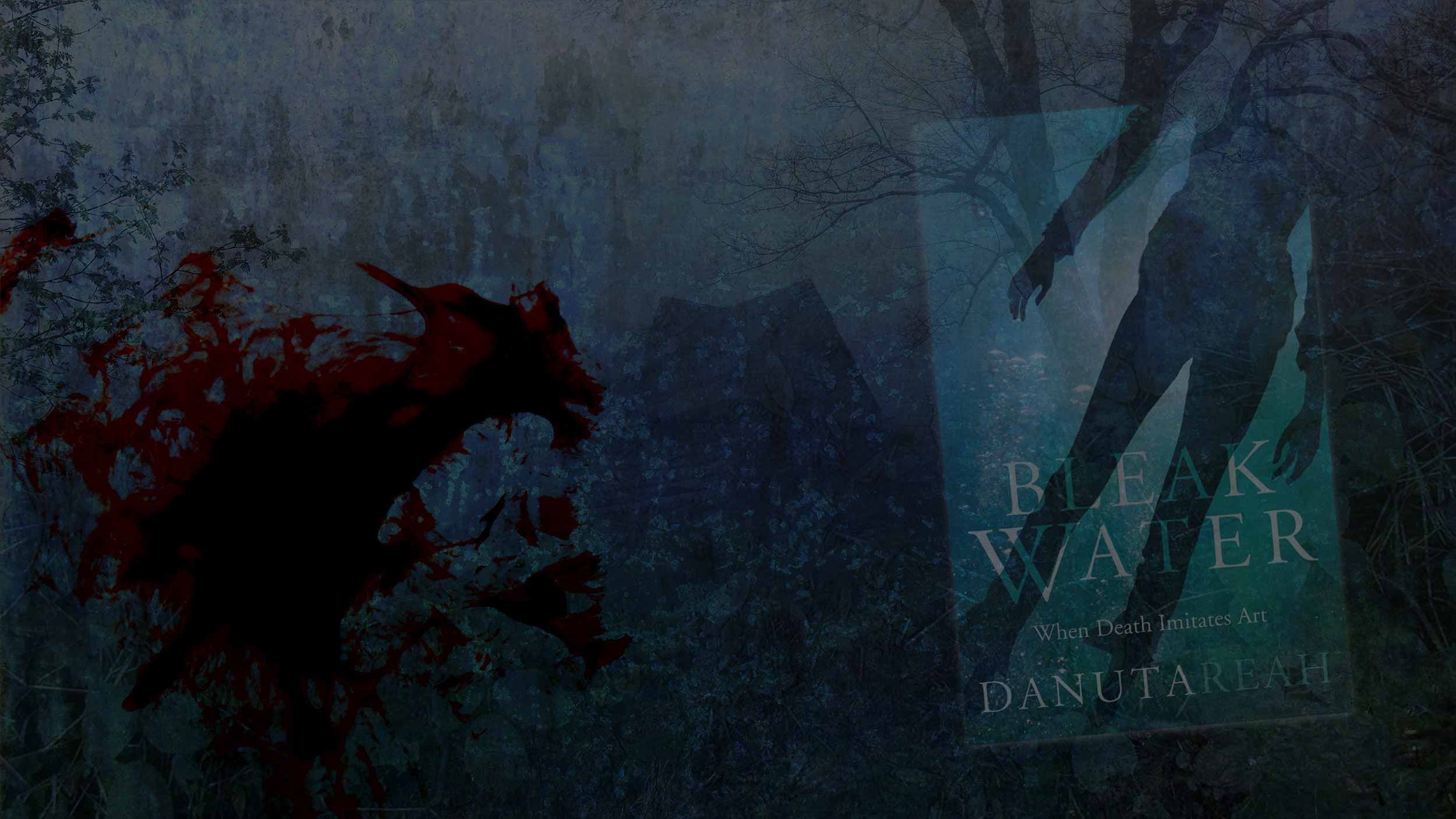 Header collage featuring the cover of Bleak Water by Danuta Reah