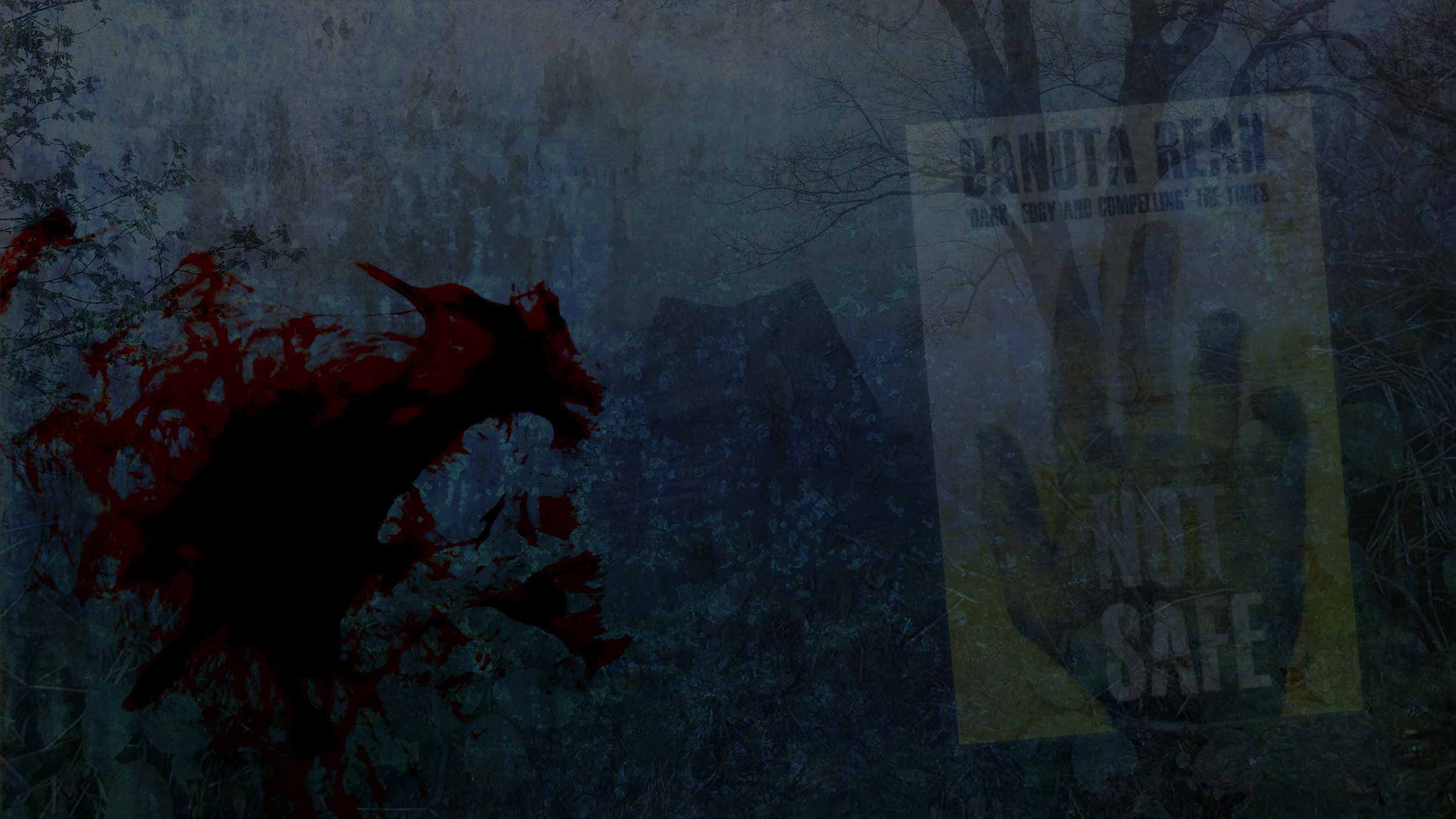 Header collage featuring the cover of Not Safe by Danuta Reah