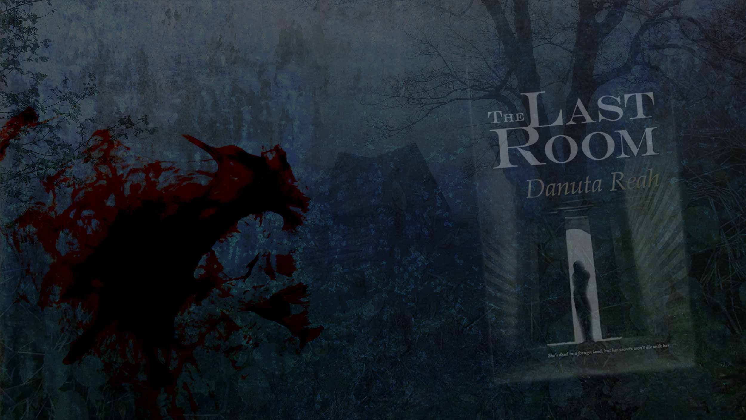 Header collage featuring the cover of The Last Room by Danuta Reah