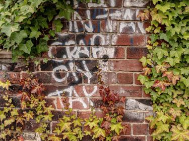 Graffiti at the side of the canal towpath, Sheffield