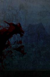 Placeholder book cover image for Danuta Reah’s website